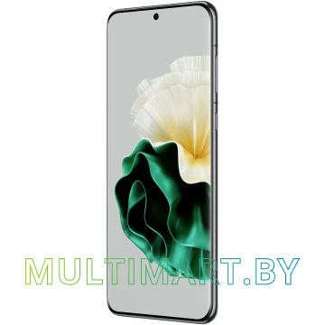 Смартфон Huawei P60 LNA-LX9 8GB/256GB (зеленый) картинка 4